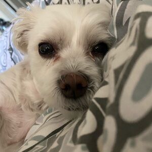 Like This Listing to Know When I Go Live 🤍